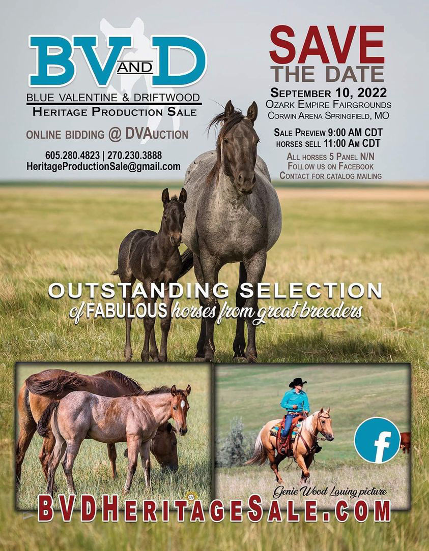 Save the Date for the BV and D Horse Sale