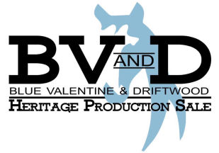Blue Valentine and Driftwood Heritage Production Sale