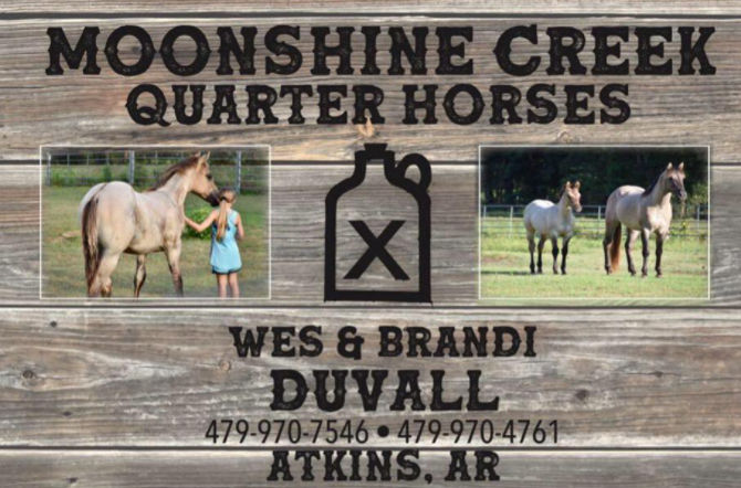 Moonshine Creek Quarter Horses