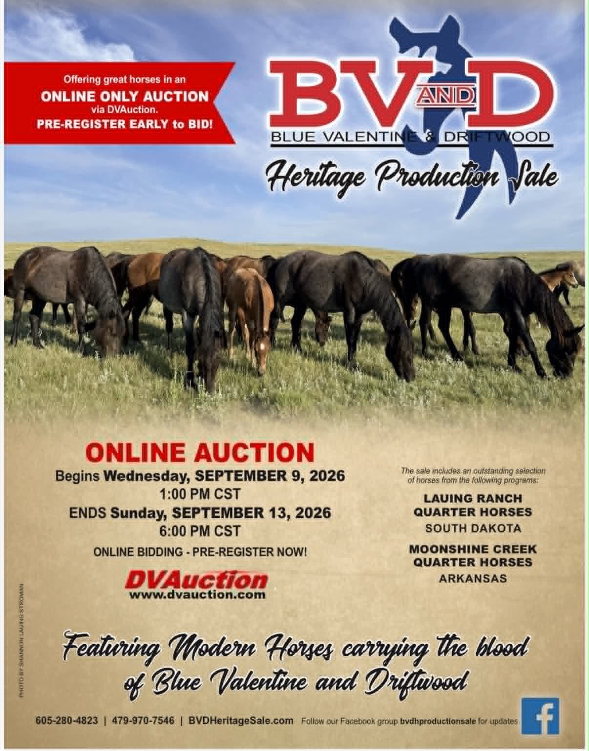 2026 BV and D Horse Sale