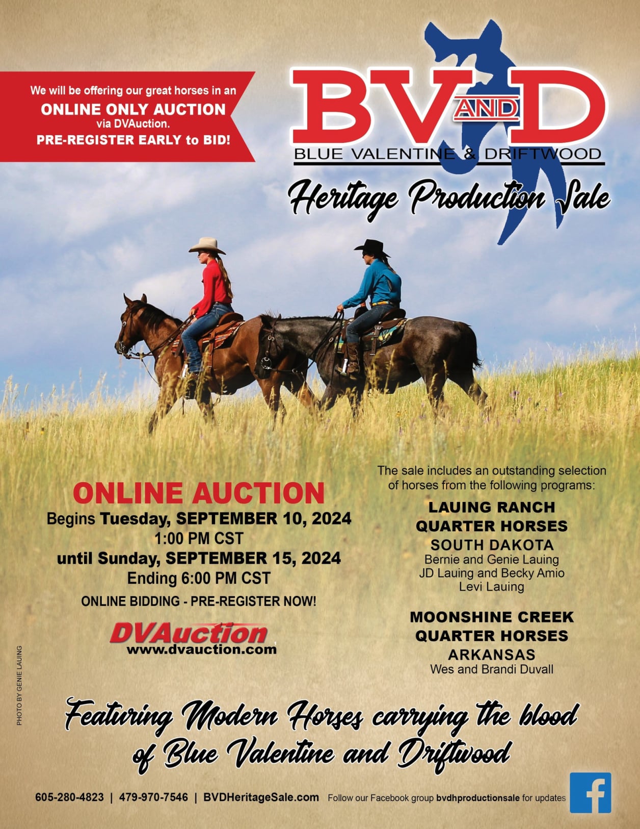 2024 BV and D Horse Sale