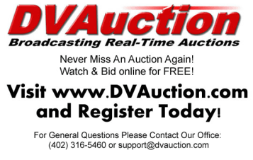 DV Auction Online Auctions