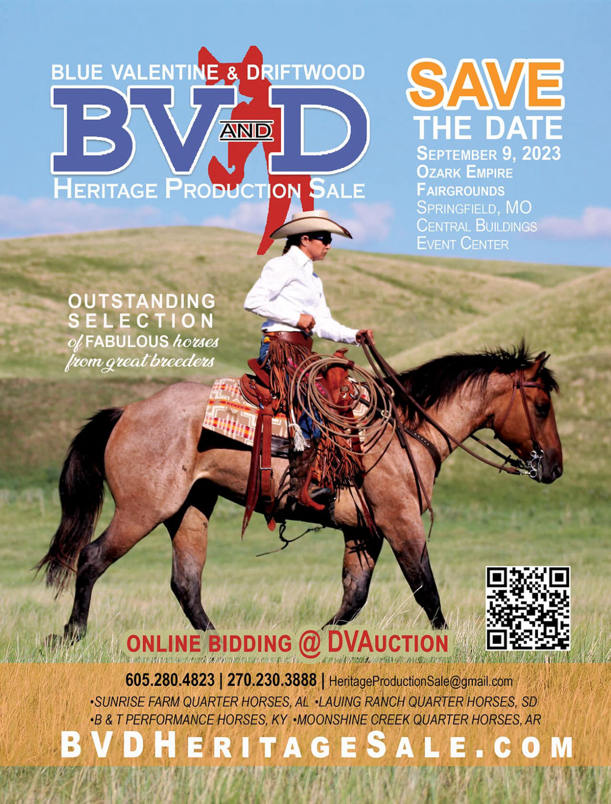 2023 BV and D Horse Sale